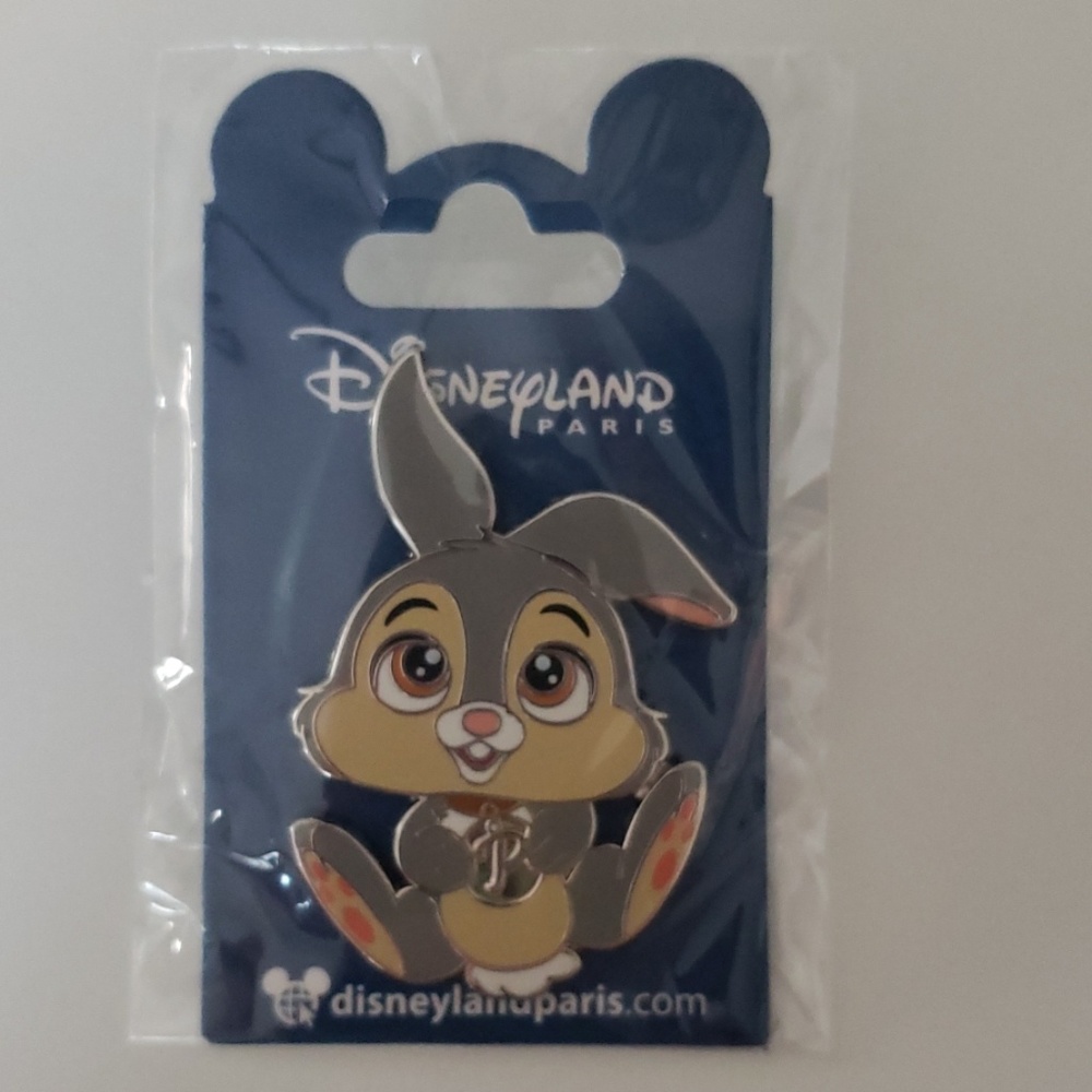 Disneyland Paris pin